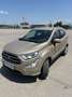 Ford EcoSport 1.0 EcoBoost Titanium Aut. *CAM*NAVI - thumbnail 1