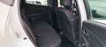 Renault Clio 5p 1.2 Live Gpl 75cv Bianco - thumbnail 13