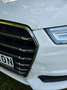 Audi A6 Avant 3.0 TDI Motorschaden Blanco - thumbnail 12