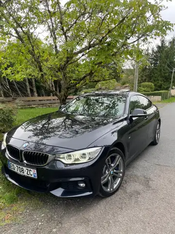 BMW 435 4 I (F36) 435dA xDrive 313ch M Sport / 06