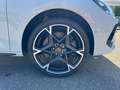 CUPRA Leon Sportstourer VZ 2.0 TSI 245 kW (333 PS) 7-G Bianco - thumbnail 15