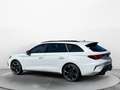 CUPRA Leon Sportstourer VZ 2.0 TSI 245 kW (333 PS) 7-G Bianco - thumbnail 4