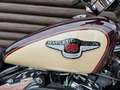 Harley-Davidson XL 1200 C Sportster Custom*95 Jahre, limitiert* Červená - thumbnail 10