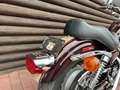 Harley-Davidson XL 1200 C Sportster Custom*95 Jahre, limitiert* Roşu - thumbnail 15