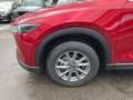 Mazda CX-5 L SKYACTIV-G 194 FWD 5T 6AG AL-EXCLUSIVE Rot - thumbnail 10