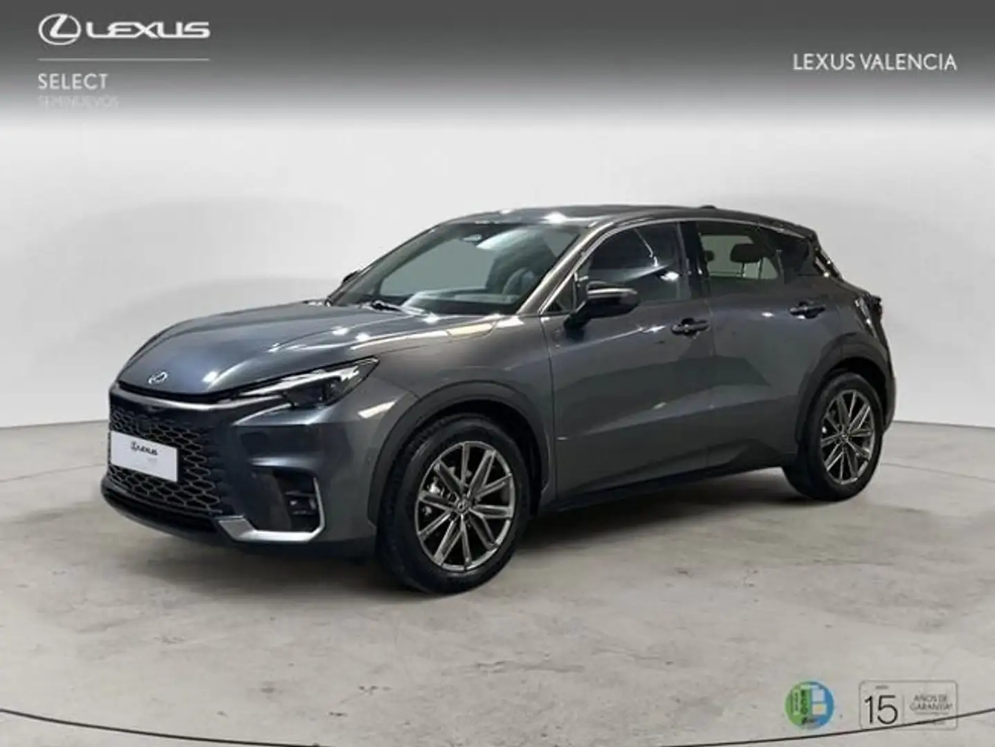 Lexus LBX Relax Gris - 1