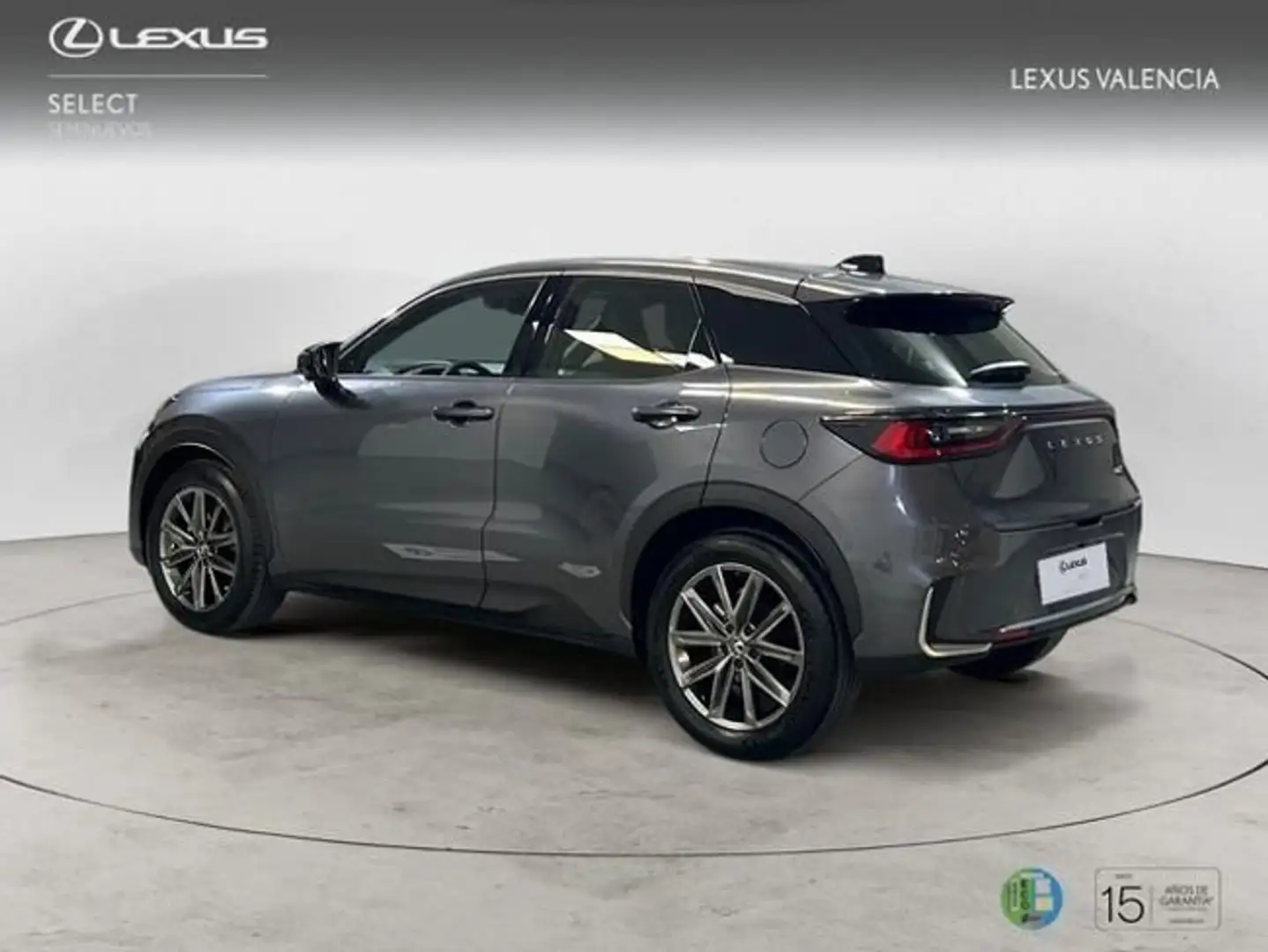 Lexus LBX Relax Gris - 2