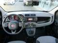 Fiat Panda 1.2 8V Lounge Klima Bluetooth Alu PDC Schwarz - thumbnail 8