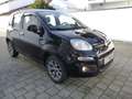 Fiat Panda 1.2 8V Lounge Klima Bluetooth Alu PDC Schwarz - thumbnail 19