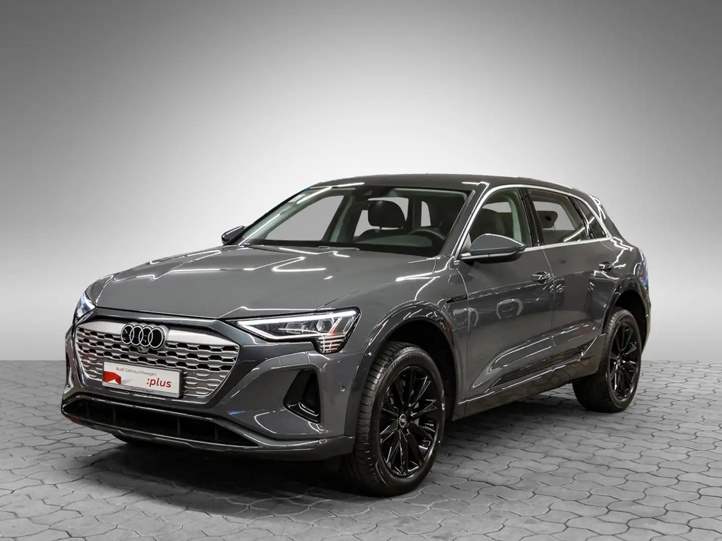 Audi Q8 e-tron Q8 50 e-tron qu advanced AIR virtCo Kamera 20'' Grau - 2