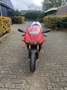 Ducati 996 sps 5789km ohlins magnesium collectors item uniek - thumbnail 4