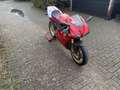 Ducati 996 sps 5789km ohlins magnesium collectors item uniek - thumbnail 3