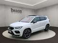 CUPRA Ateca 2.0 TSI 221 kW (300 PS) Weiß - thumbnail 1