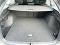 Skoda Octavia Selection TSI mHEV DSG Grau - thumbnail 14