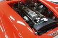 Austin-Healey 3000 3000MK3| Gerestaureerd| Matching Numbers| 1966 Rood - thumbnail 6