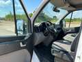 Hyundai H 350 L3 H2 Maxi Klima Euro 6 Weiß - thumbnail 11