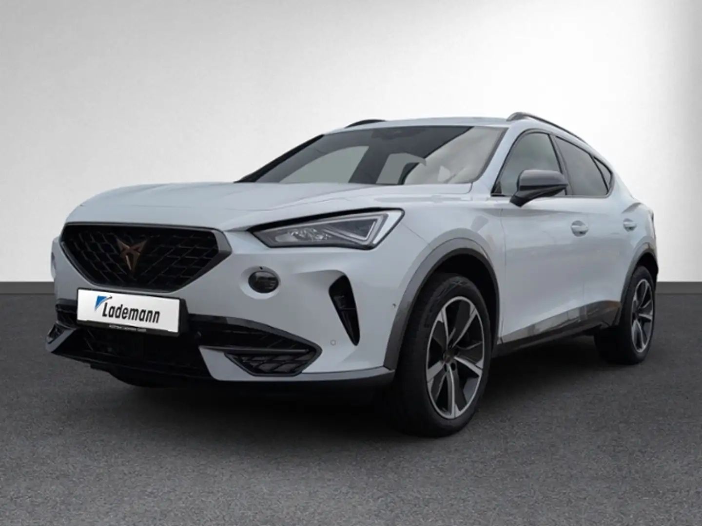 CUPRA Formentor 2.0 TSI DSG 4Drive RÜKA+AHK+NAVI+eHECK Weiß - 2