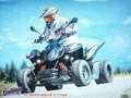 Access AMS 300 Supermoto LOF Zulassung mit 93 Km/h Noir - thumbnail 5