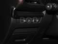 Mazda 3 2.5L e-SKYACTIV G 6MT FWD Homura NAVI SHZ Schwarz - thumbnail 14