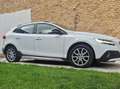 Volvo V40 Cross Country V40 Cross Country Biały - thumbnail 11