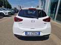 Mazda 2 1.5 e-Skyactiv-G 90 CV M Hybrid Evolve Bianco - thumbnail 4