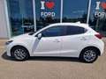 Mazda 2 1.5 e-Skyactiv-G 90 CV M Hybrid Evolve Bianco - thumbnail 6