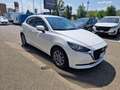 Mazda 2 1.5 e-Skyactiv-G 90 CV M Hybrid Evolve Bianco - thumbnail 3