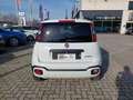 Fiat Panda 1.0 FireFly S&S Hybrid City Cross Blanc - thumbnail 8