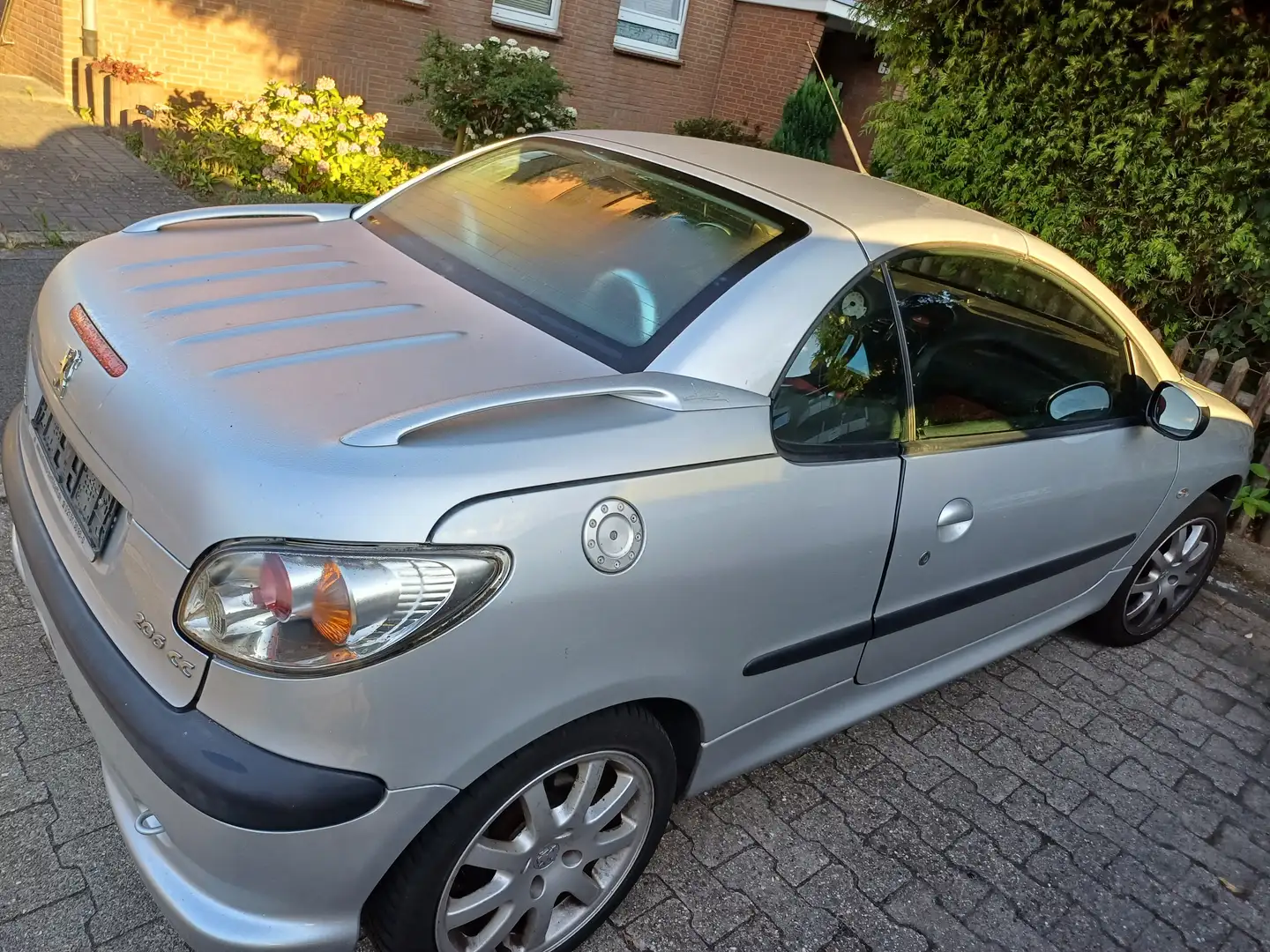 Peugeot 206 206 CC 110Platinum - 2
