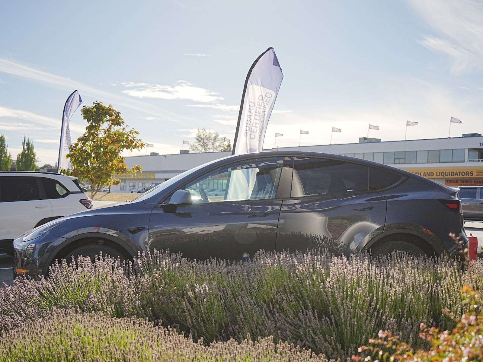 2024 Tesla Model Y Long Range — снимка 1