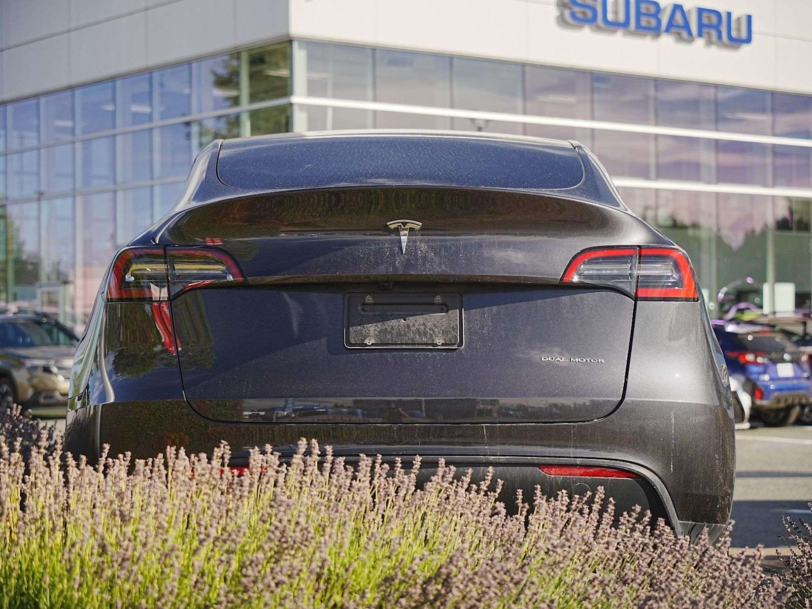 2024 Tesla Model Y Long Range — снимка 1