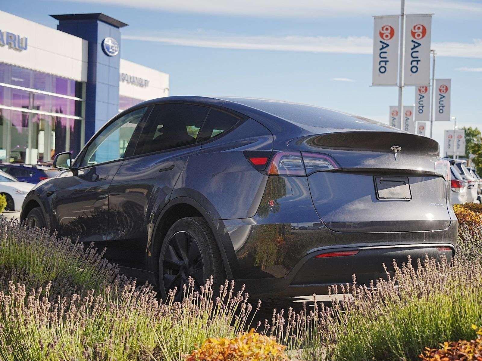 2024 Tesla Model Y Long Range — снимка 1