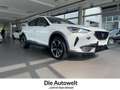 CUPRA Formentor 1.5 TSI DSG NAVI ACC LED SHZG KAMERA Klima Navi Weiß - thumbnail 1