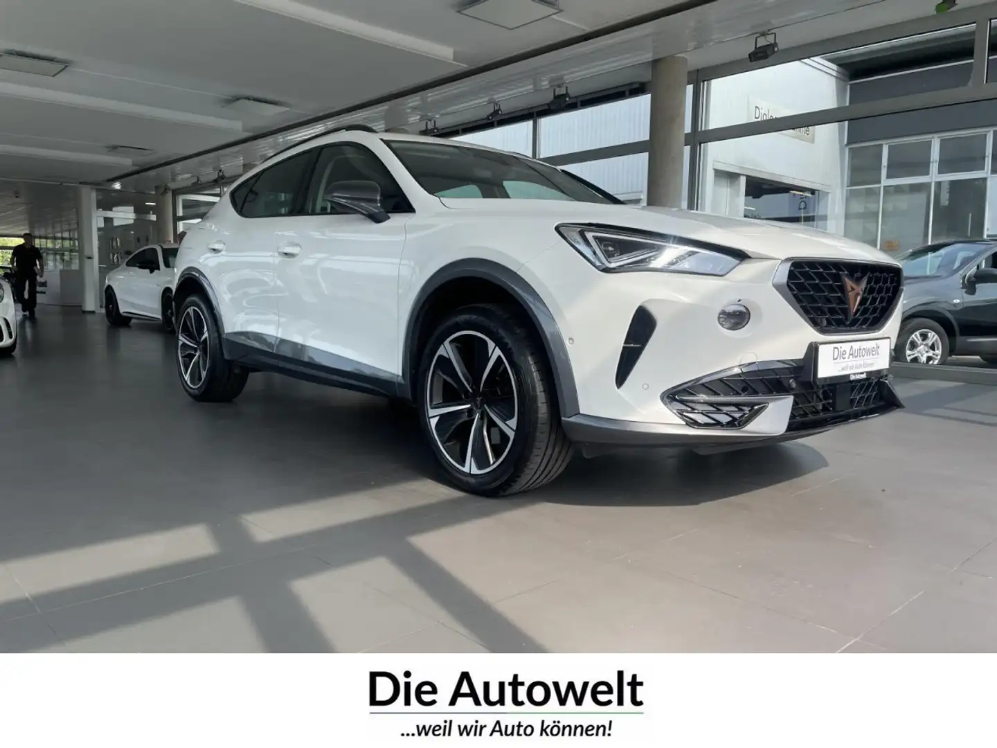 CUPRA Formentor 1.5 TSI DSG NAVI ACC LED SHZG KAMERA Klima Navi Weiß - 1