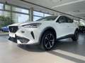 CUPRA Formentor 1.5 TSI DSG NAVI ACC LED SHZG KAMERA Klima Navi Weiß - thumbnail 2