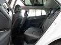 Kia Sportage Spirit 1.6 T-GDI EcoDyn. 132kW DCT 4WD Sports Util Blanc - thumbnail 7