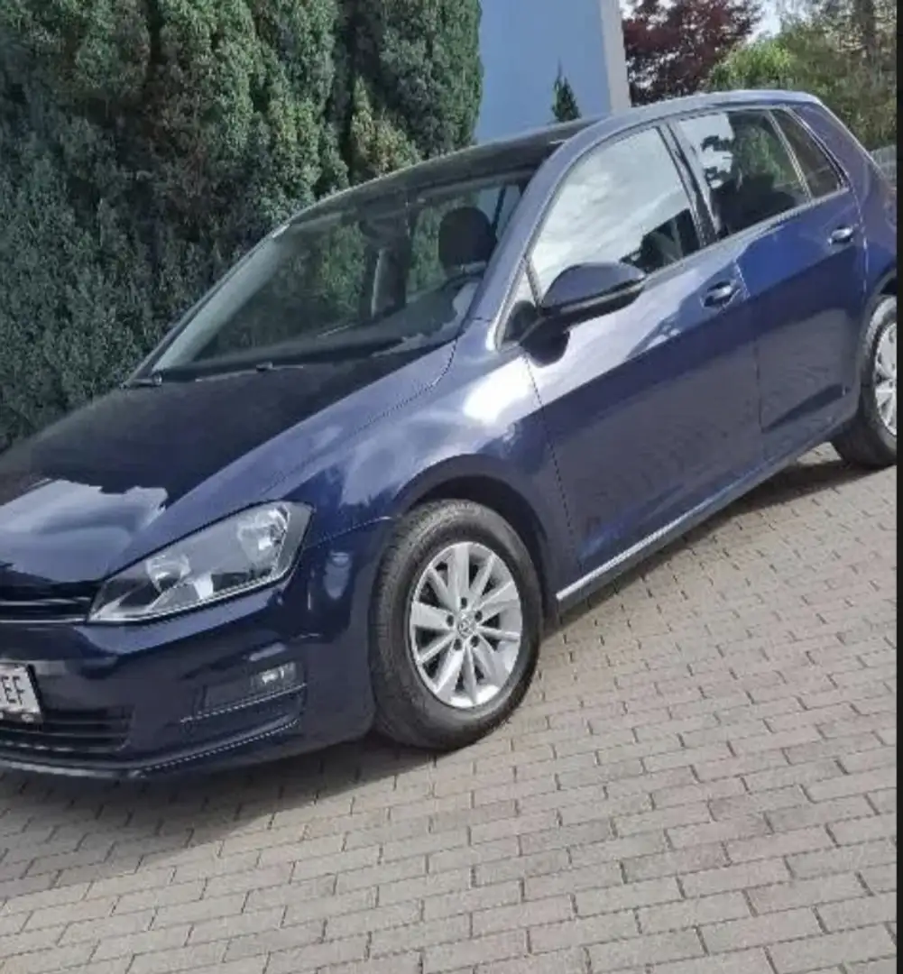 Volkswagen Golf Golf Comfortline 1,6 BMT TDI Comfortline - 2