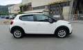 Citroen C3 BlueHDi 100 S&S Business autocarro n1 5 posti Blanc - thumbnail 5