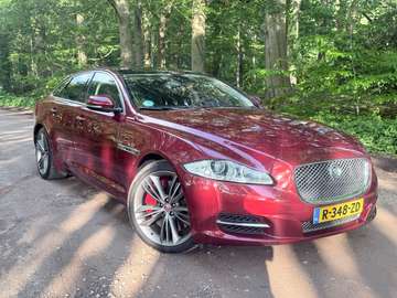 5.0 V8 SC Supers.