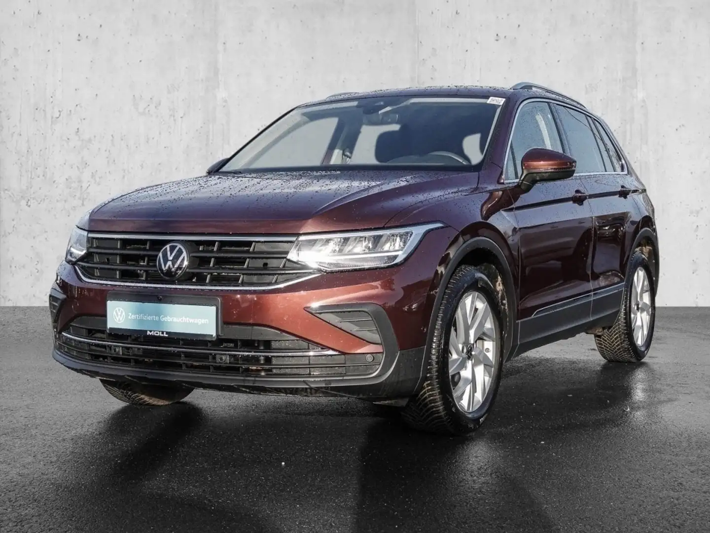 Volkswagen Tiguan 1.5 TSI DSG Life MOVE NAVI LM ACC 360 Braun - 2