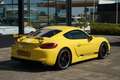 Porsche Cayman GT4 3.8 | Clubsport Package | PPF Gelb - thumbnail 1