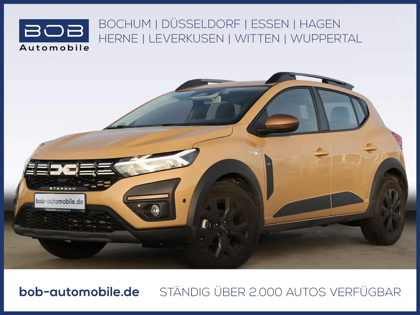 Dacia Sandero Stepway Extreme TCe 110 8-fach bereift Beige - 1