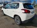 Peugeot 2008 1.5 BLUEHDI 100CH S\u0026S ACTIVE BUSINESS Weiß - thumbnail 11