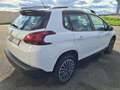 Peugeot 2008 1.5 BLUEHDI 100CH S\u0026S ACTIVE BUSINESS Weiß - thumbnail 13