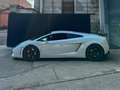 Lamborghini Gallardo Gallardo Coupe Coupe 5.2 LP 560-4 e-gear Білий - thumbnail 12