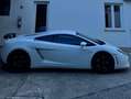 Lamborghini Gallardo Gallardo Coupe Coupe 5.2 LP 560-4 e-gear Білий - thumbnail 8