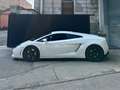 Lamborghini Gallardo Gallardo Coupe Coupe 5.2 LP 560-4 e-gear Білий - thumbnail 11
