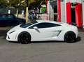 Lamborghini Gallardo Gallardo Coupe Coupe 5.2 LP 560-4 e-gear Білий - thumbnail 9