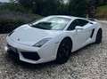 Lamborghini Gallardo Gallardo Coupe Coupe 5.2 LP 560-4 e-gear Білий - thumbnail 7