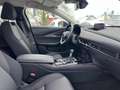 Mazda CX-30 SKYACTIV-G Homura,Werksgarantie bis 01/29 Grau - thumbnail 9